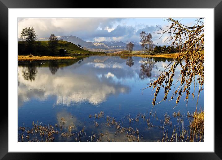 Wise Een Tarn Framed Mounted Print by Donna Connolly