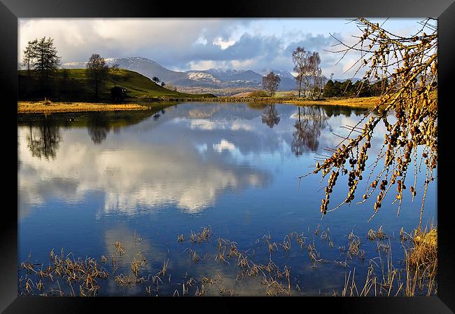 Wise Een Tarn Framed Print by Donna Connolly