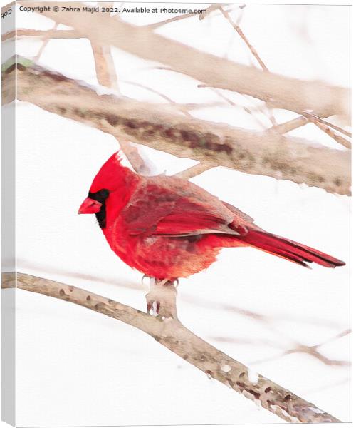 Red Bird Canvas Print by Zahra Majid