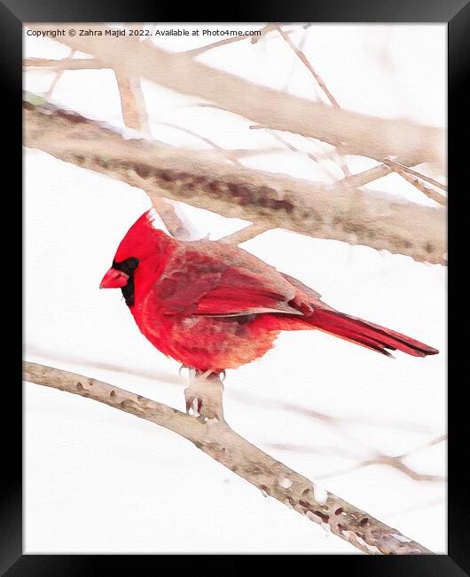 Red Bird Framed Print by Zahra Majid