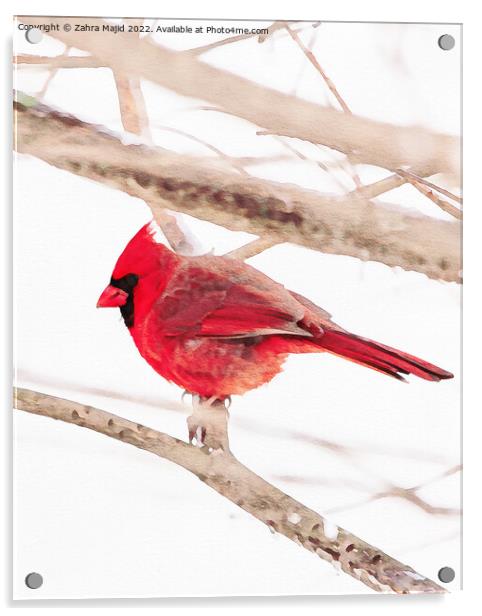 Red Bird Acrylic by Zahra Majid