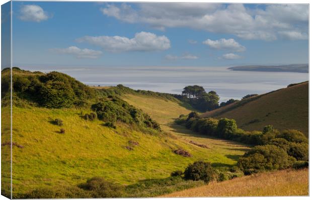 A  lush green hillside Valley to the Sea near Very Canvas Print by Kevin Snelling
