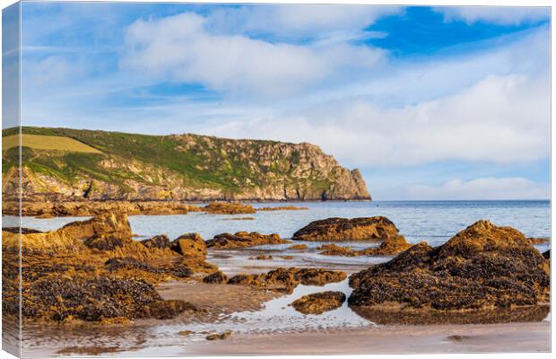 Serene Coastline at Roseland Peninsula Canvas Print by Kevin Snelling