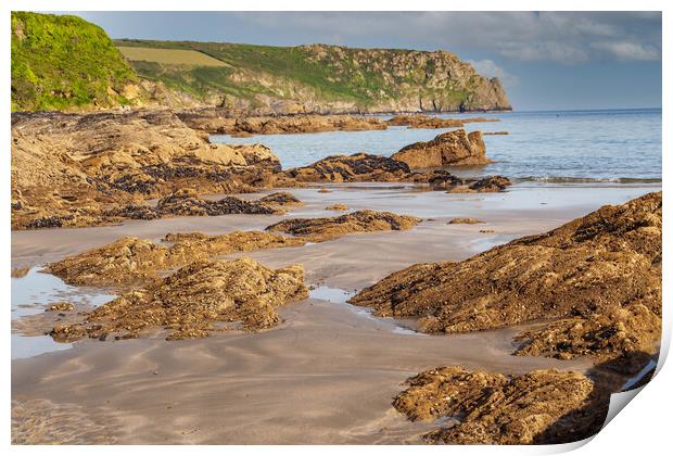 Serene natural beauty of Pendower and Carne Beach Print by Kevin Snelling