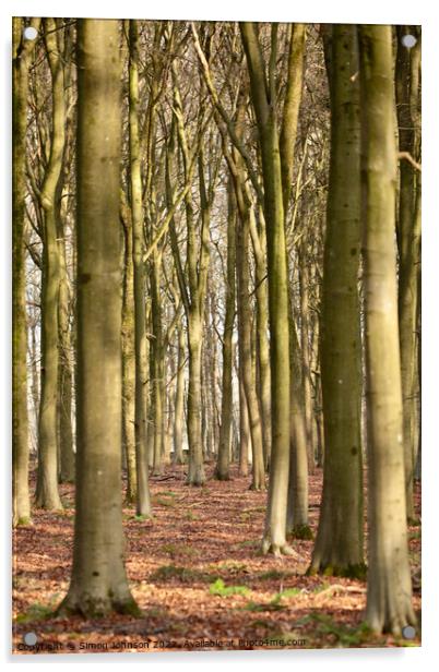 Beech Woodland Acrylic by Simon Johnson