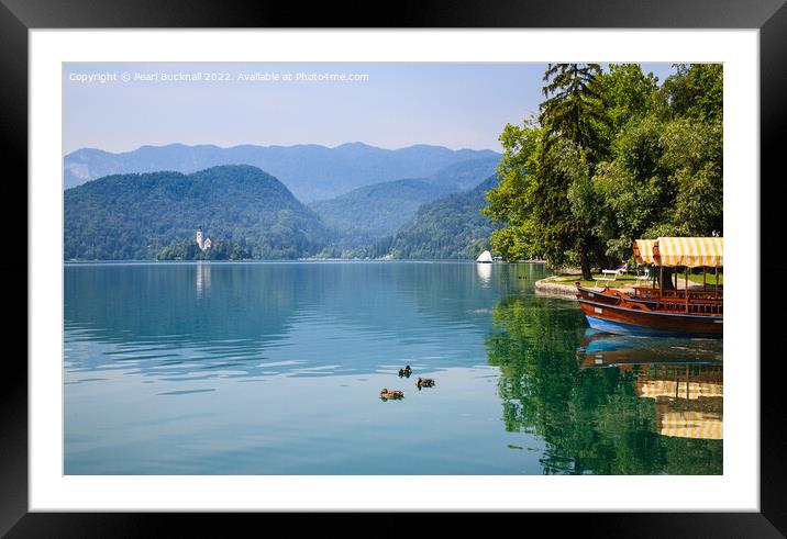 Blue Lake Bled Slovenia Framed Mounted Print by Pearl Bucknall