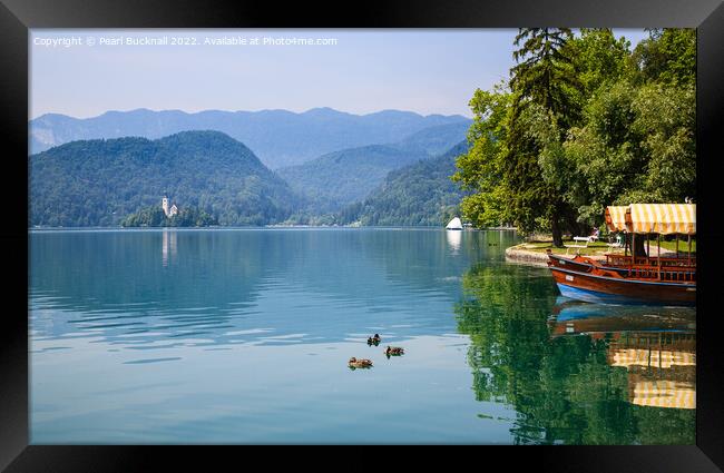 Blue Lake Bled Slovenia Framed Print by Pearl Bucknall