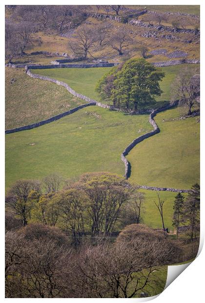 Yorkshire dales Print by chris smith