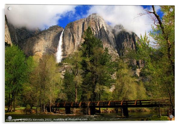 Beautiful Yosemite Acrylic by Donna Kennedy