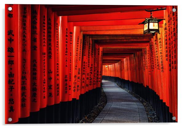 Dawn in Fushimi Inari-Taisha Acrylic by Matthew Train