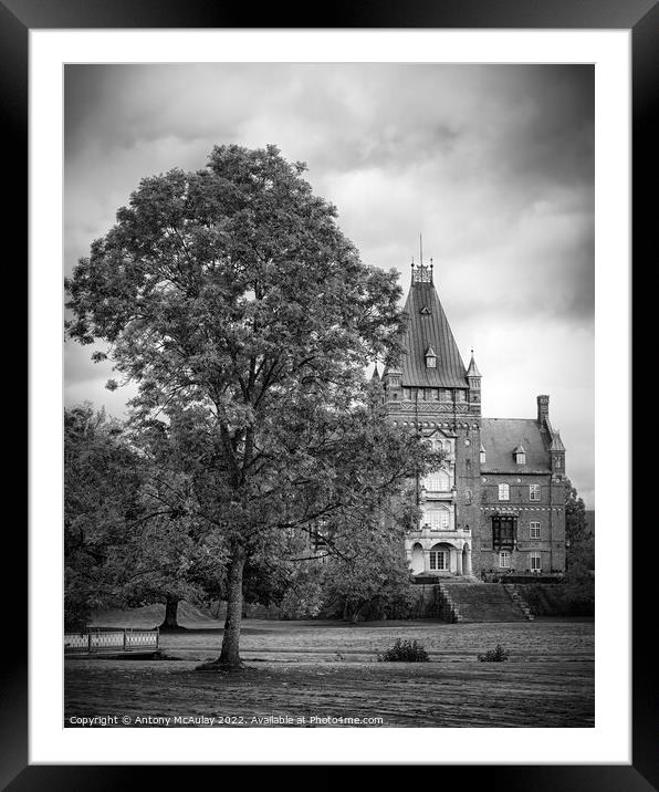Trollenas Castle with Large Tree Framed Mounted Print by Antony McAulay