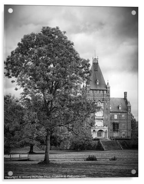 Trollenas Castle with Large Tree Acrylic by Antony McAulay