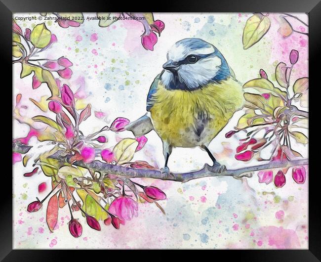 Birdie in a pastel ambience Framed Print by Zahra Majid