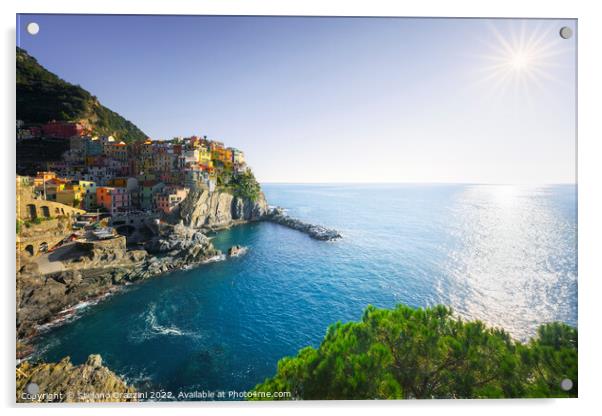 Manarola, village on the rocks. Cinque Terre, Italy Acrylic by Stefano Orazzini