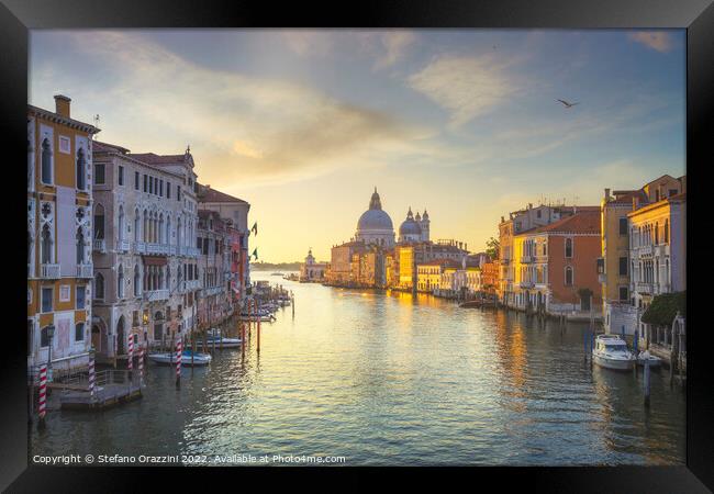 Venice Grand Canal and Santa Maria della Salute church  Framed Print by Stefano Orazzini