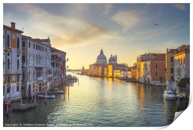 Venice Grand Canal and Santa Maria della Salute church  Print by Stefano Orazzini