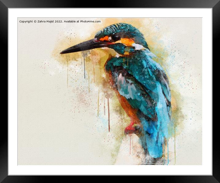 Blue Kingfisher Framed Mounted Print by Zahra Majid