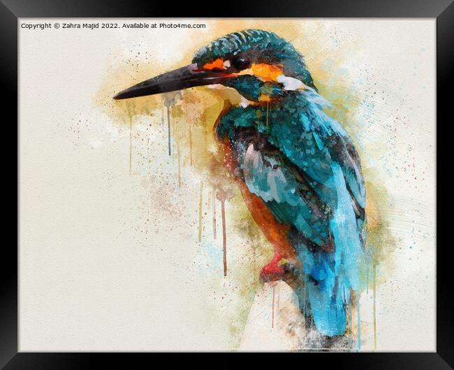 Blue Kingfisher Framed Print by Zahra Majid