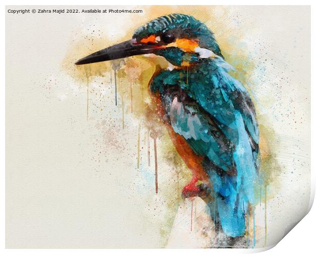 Blue Kingfisher Print by Zahra Majid