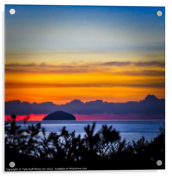 Ailsa Craig On The Ayrshire Coast Acrylic by Tylie Duff Photo Art