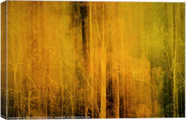 Ethereal and Mysterious Woodlands Canvas Print by Errol D'Souza