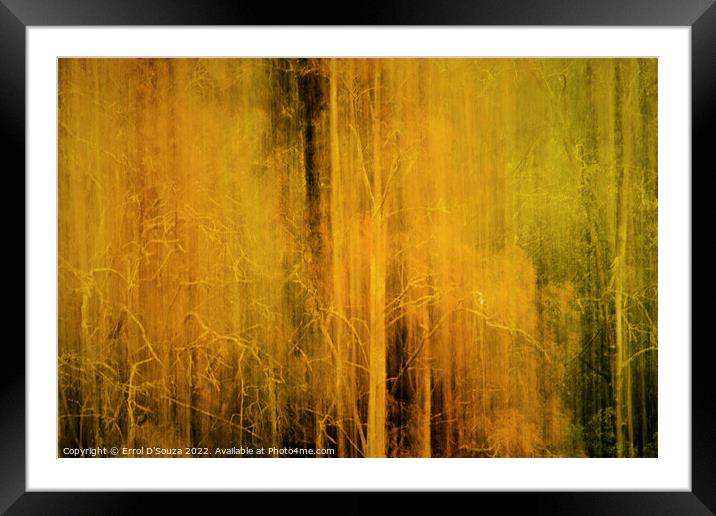 Ethereal and Mysterious Woodlands Framed Mounted Print by Errol D'Souza