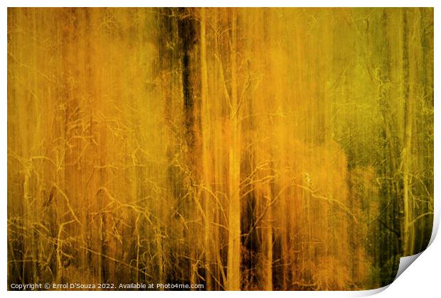 Ethereal and Mysterious Woodlands Print by Errol D'Souza