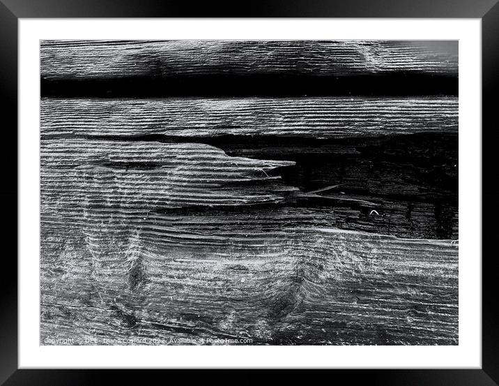 Timber Times 29                        Framed Mounted Print by DEE- Diana Cosford