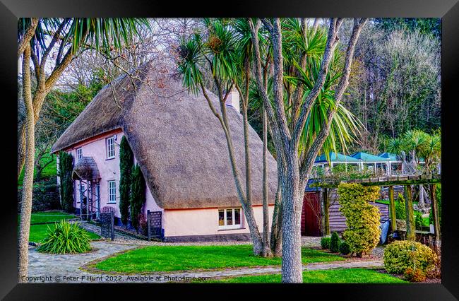 Picture Postcard Thatch  Framed Print by Peter F Hunt