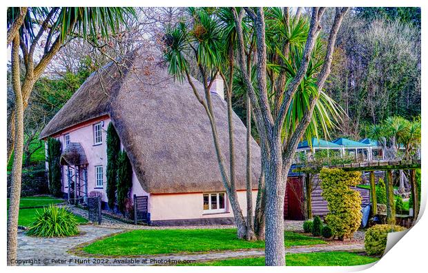 Picture Postcard Thatch  Print by Peter F Hunt