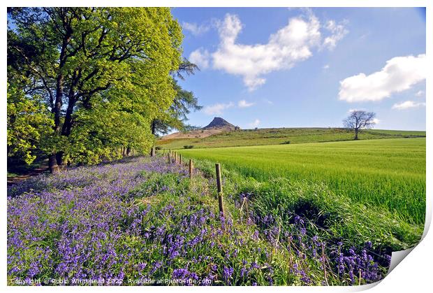 Roseberry topping view through the bluebells Print by Robin Whitehead