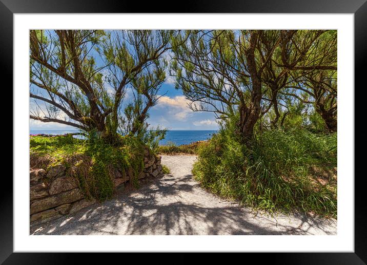 A Serene Pathway to the Sea Framed Mounted Print by Kevin Snelling