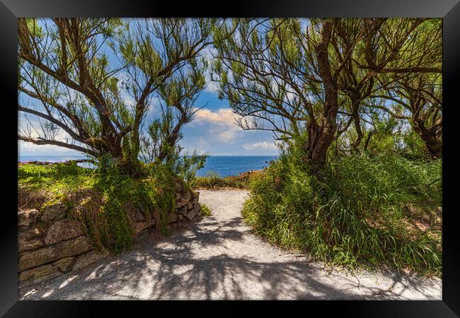 A Serene Pathway to the Sea Framed Print by Kevin Snelling