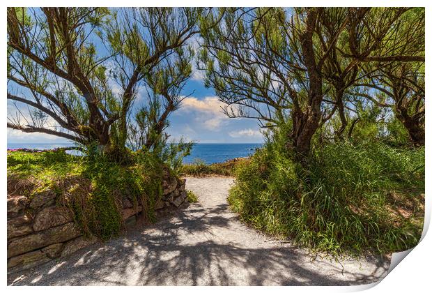 A Serene Pathway to the Sea Print by Kevin Snelling