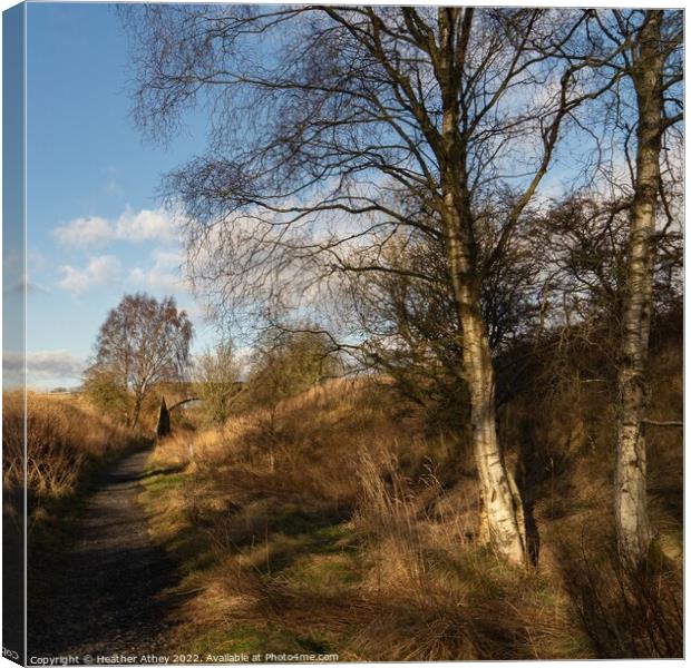 Disused Railway Line Northumberland, UK Canvas Print by Heather Athey
