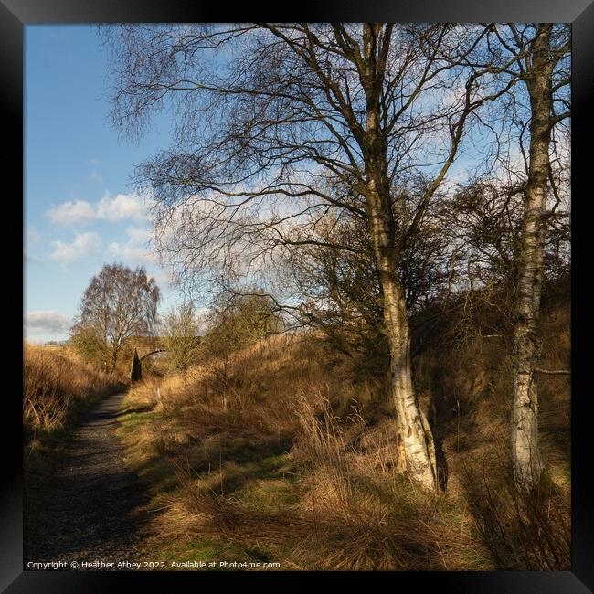 Disused Railway Line Northumberland, UK Framed Print by Heather Athey