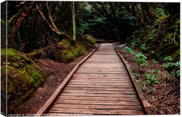 Mysterious wooden path, which crosses a closed forest, to protec Canvas Print by Joaquin Corbalan