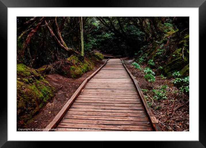 Mysterious wooden path, which crosses a closed forest, to protec Framed Mounted Print by Joaquin Corbalan