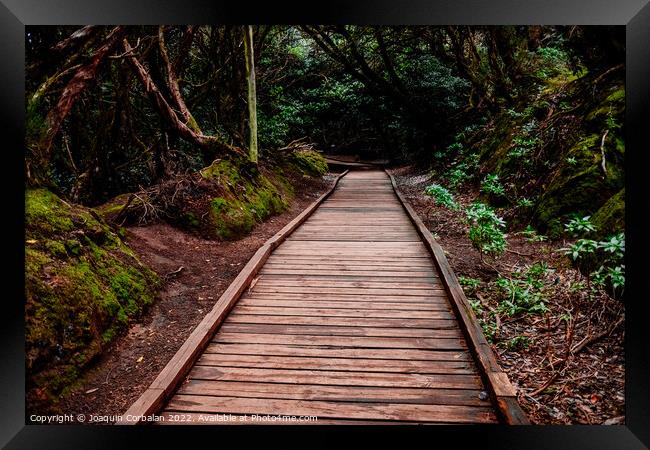 Mysterious wooden path, which crosses a closed forest, to protec Framed Print by Joaquin Corbalan