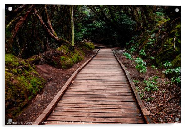 Mysterious wooden path, which crosses a closed forest, to protec Acrylic by Joaquin Corbalan