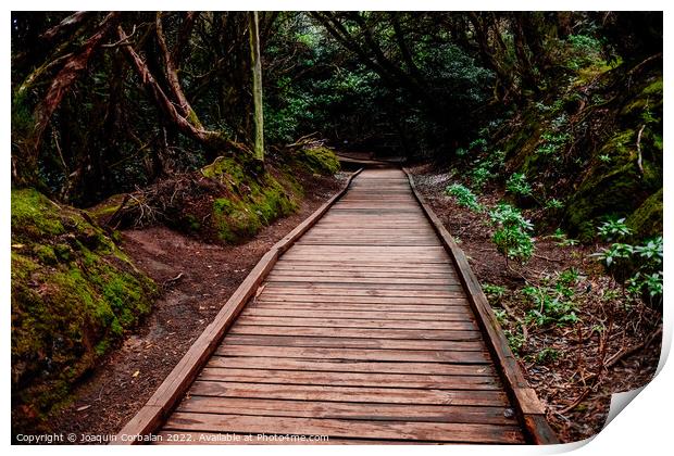 Mysterious wooden path, which crosses a closed forest, to protec Print by Joaquin Corbalan