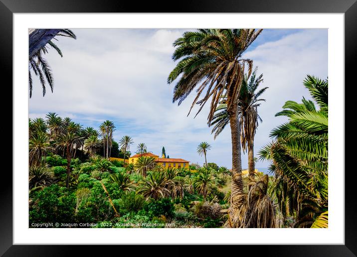 Old colonial mansion on a tropical banana farm on an Atlantic is Framed Mounted Print by Joaquin Corbalan