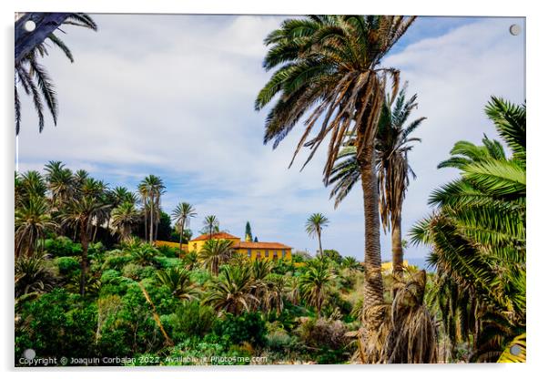 Old colonial mansion on a tropical banana farm on an Atlantic is Acrylic by Joaquin Corbalan