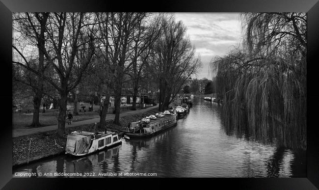Cambridge Canal with canal boats Framed Print by Ann Biddlecombe