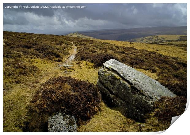 Sharptor and Granite Boulders Dartmoor Print by Nick Jenkins