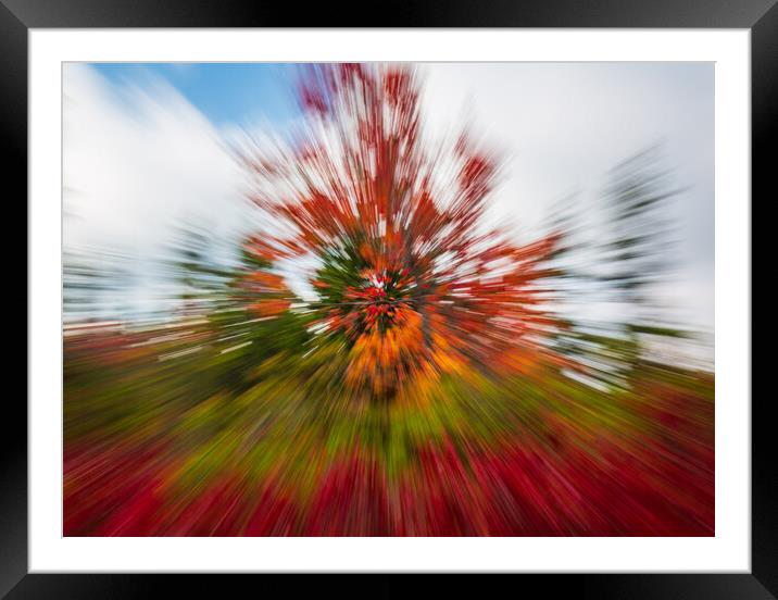 Red leaves at Dolly Sods with zoom Framed Mounted Print by Steve Heap