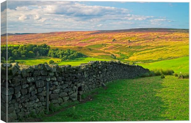 North York Moors Canvas Print by Martyn Arnold
