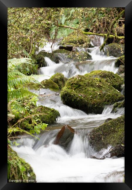 Cascading water in woods Framed Print by Martin Pople