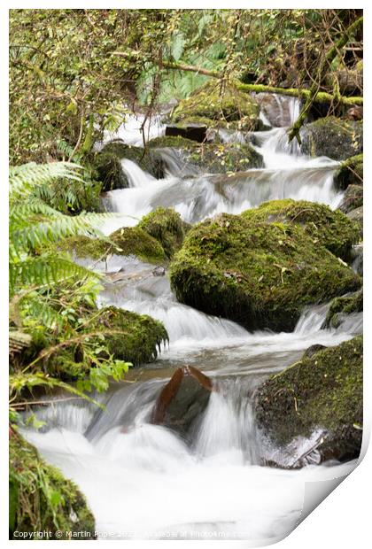 Cascading water in woods Print by Martin Pople