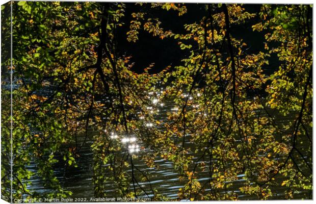 Water sparkling through leaves  Canvas Print by Martin Pople